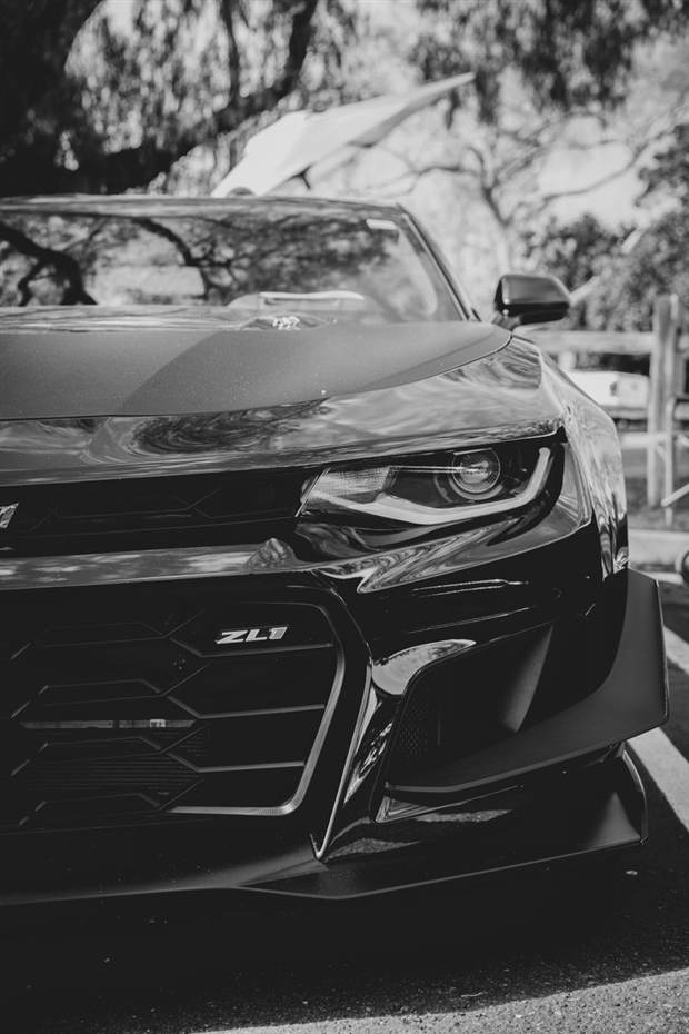 Camaro negro